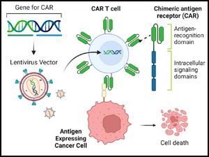 CAR-T diagram