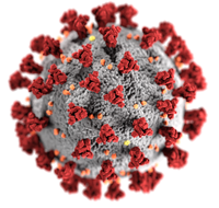 coronavirus image