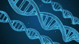 DNA strands