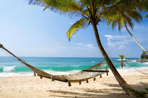 Hammock vacation