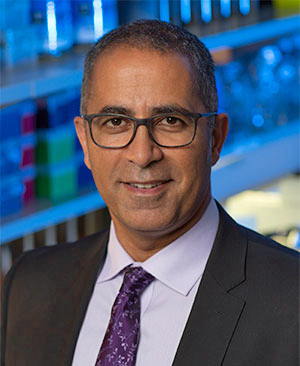 Dr. Joseph Mikhael